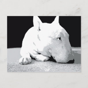 Cartão Postal Bull Terrier inglês, Pop Art Impressão