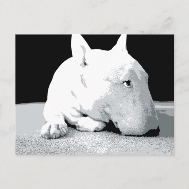 Cartão Postal Bull Terrier inglês, Pop Art Impressão (Frente)
