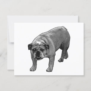 Cartão Postal Bulldog de animação rápida
