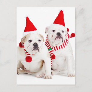 Cartão Postal Bulldog Elves