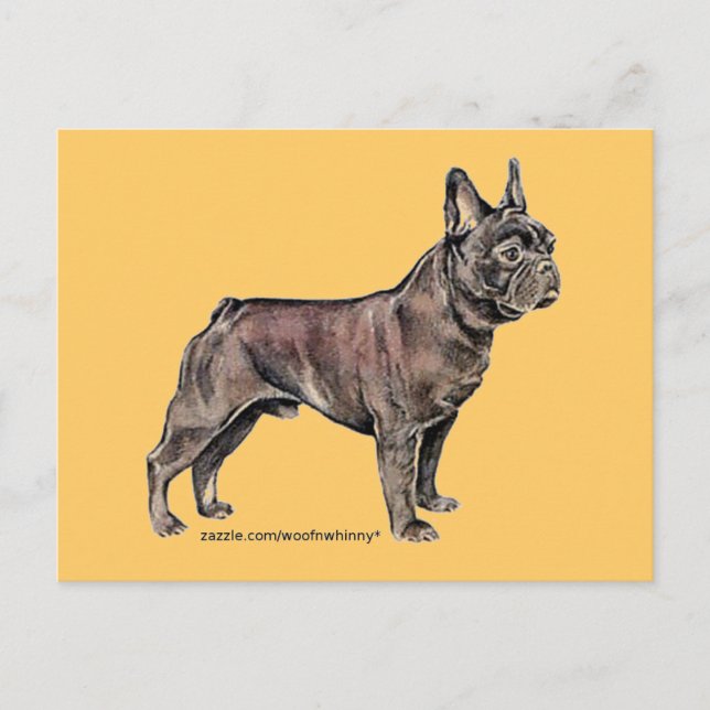 Cartão Postal Bulldog francês! (Frente)