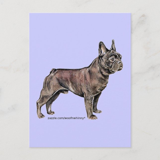 Cartão Postal Bulldog francês! (Frente)