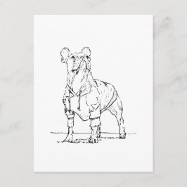 Cartão Postal Bulldog Francês Engraçado – Pensando em Você