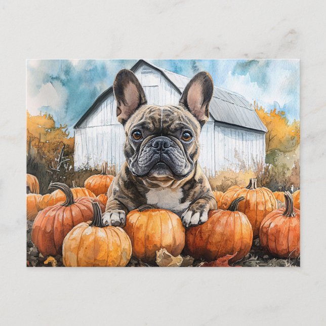 Cartão Postal Bulldog Francês no Pumpkin Patch (Frente)