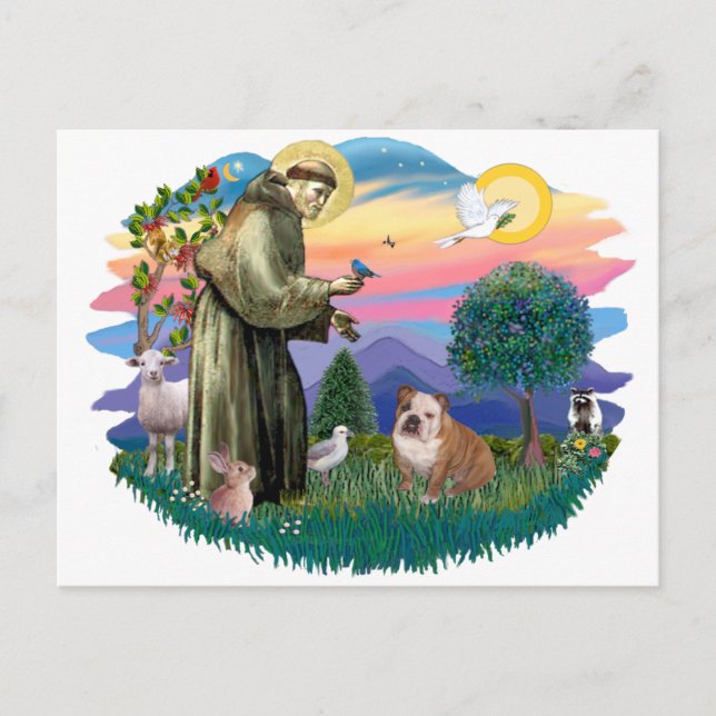 Cartão Postal Bulldog Inglês (marrom e branco) (Frente)