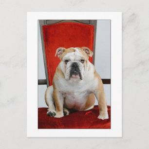 Cartão Postal Bulldog inglês no trono