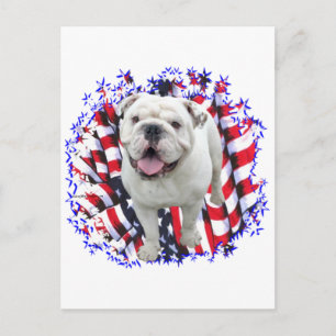 Cartão Postal Bulldog Patriot