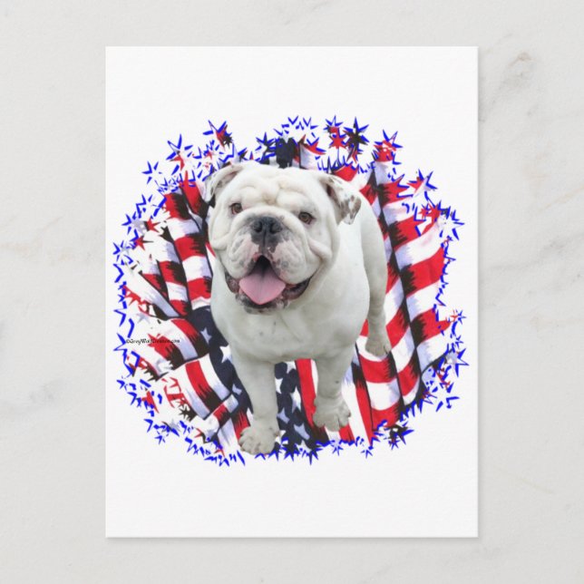 Cartão Postal Bulldog Patriot (Frente)