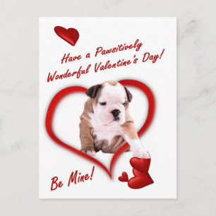 Cartão Postal Bulldog Puppy Love In A Envelope Postcard