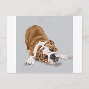 Cartão Postal Bulldog Puppy no Play