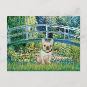 Cartão Postal Bulldogue Francês 1 - Ponte