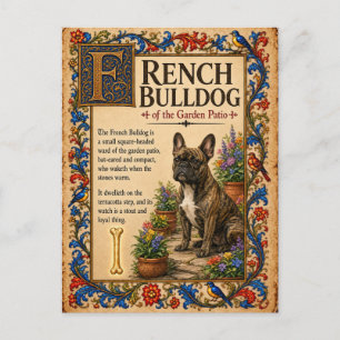 Cartão Postal Bulldogue Francês, Arte Medieval Bestiário