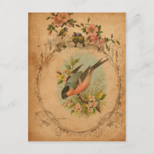 Cartão Postal Bullfinch