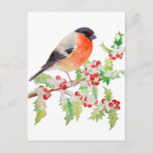 Cartão Postal Bullfinch na ramificação holandesa na placa de pos