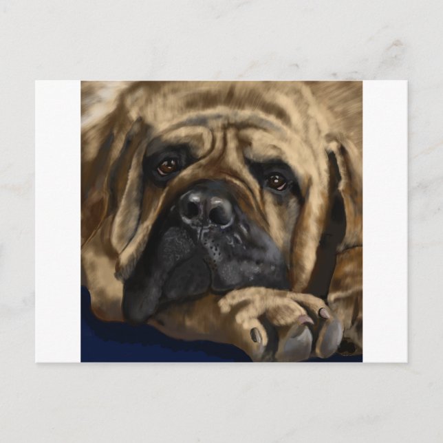 Cartão Postal Bullmastiff (Frente)