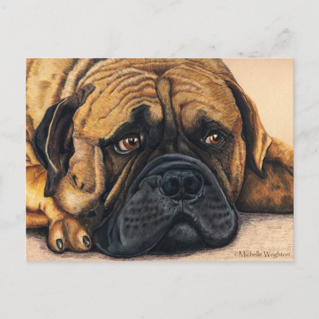 Cartão Postal Bullmastiff Esperando - Arte de Raça de Cachorro (Frente)