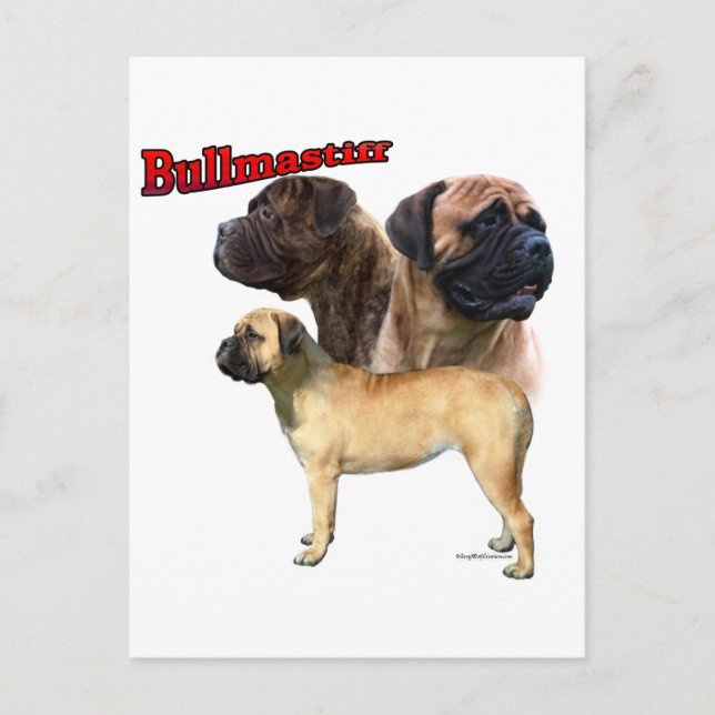Cartão Postal Bullmastiff Trio 2 (Frente)