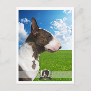 Cartão Postal Bullterrier 2011