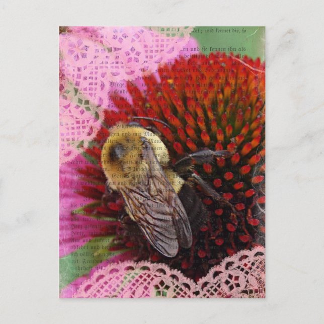 Cartão Postal Bumble Bee (Frente)