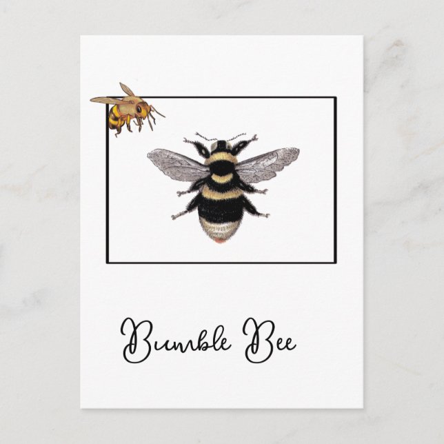 Cartão Postal Bumble Bee em Frame de Abelha (Frente)