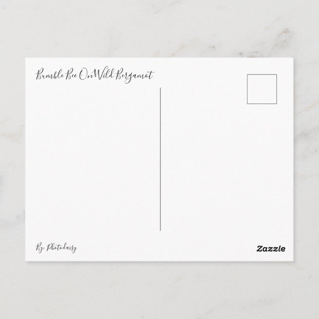 Cartão Postal Bumble Bee No Cartão-Postal De Bergamot Selvagem (Verso)