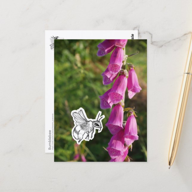 Cartão Postal Bumblebee (Frente/Verso In Situ)