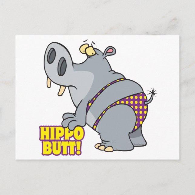 Cartão Postal bumbum hippopotâmico do hipopótamo (Frente)
