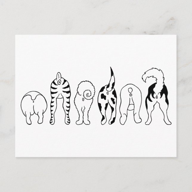 Cartão Postal Bumbuns de cães (Frente)