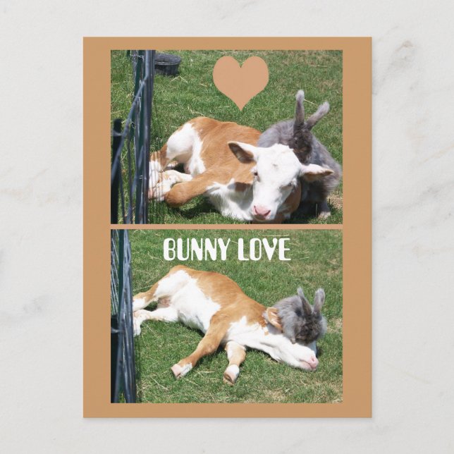 CARTÃO POSTAL BUNNIE LOVES CALF (Frente)