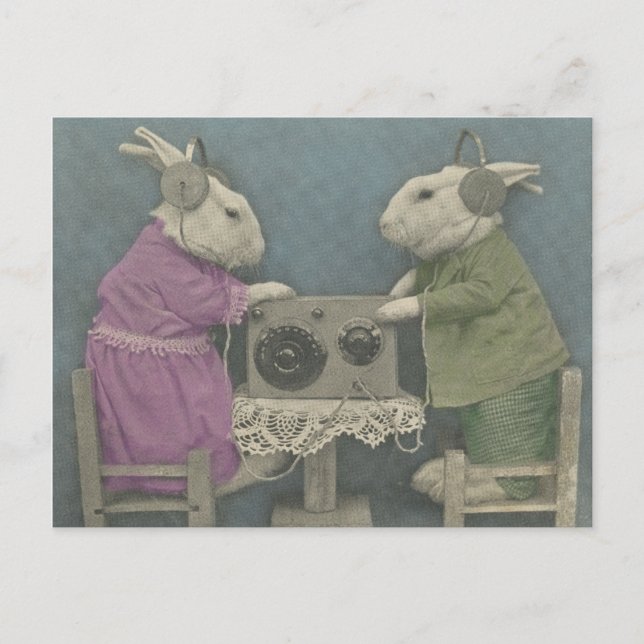Cartão Postal Bunnies Audiófilos (Frente)