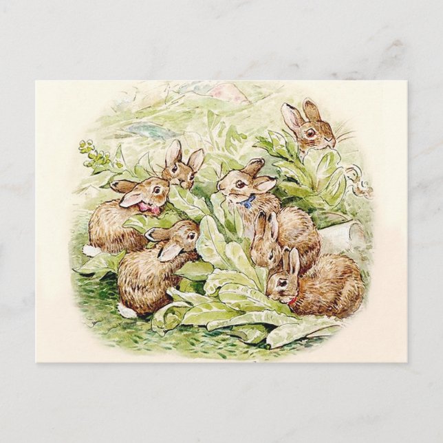 Cartão Postal Bunnies no Patch de Alface por Beatrix Potter (Frente)