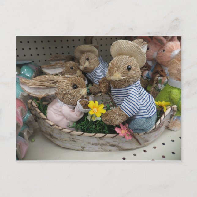 Cartão Postal Bunny Boat (Frente)