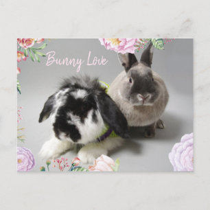 Cartão Postal Bunny Love