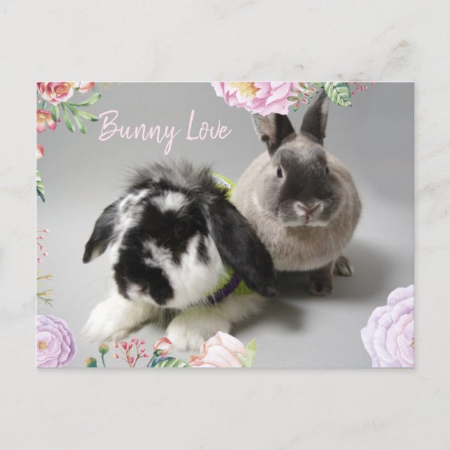 Cartão Postal Bunny Love (Frente)