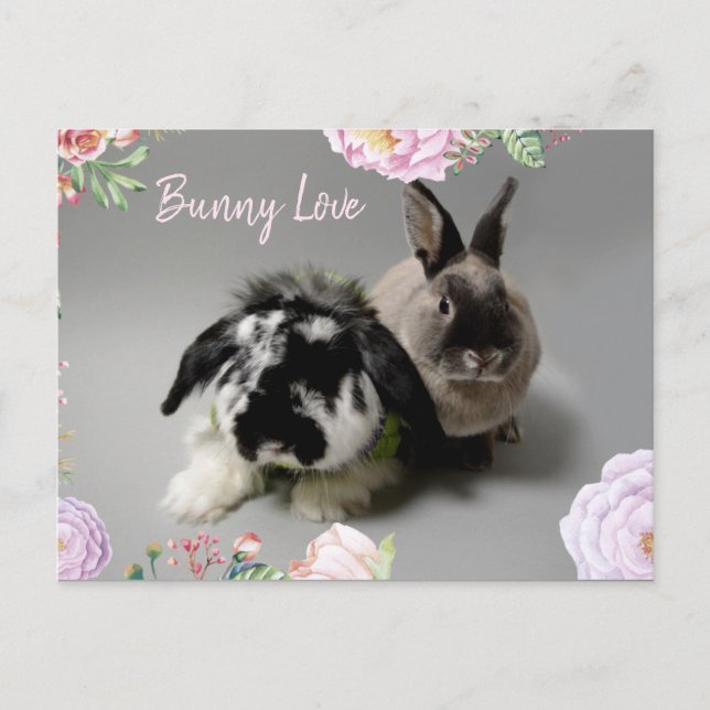 Cartão Postal Bunny Love (Frente)