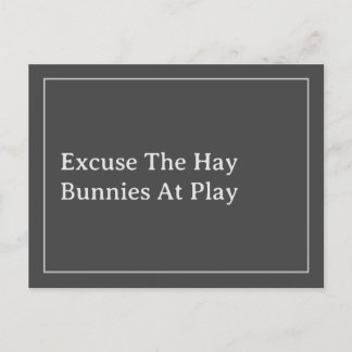 Cartão Postal Bunny Lover é Engraçado Desculpe a citação Hay