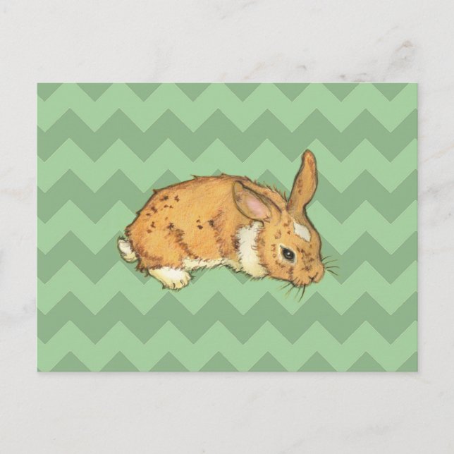 Cartão Postal Bunny Sage Chevron Duo (Frente)