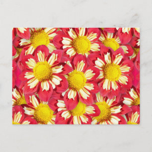 Cartão Postal Buquê de dálias - coral e branco com amarelo