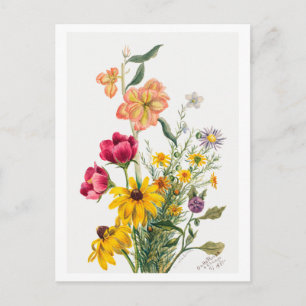 Cartão Postal Buquê de Ilustração Botânica das Flores