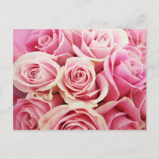 Cartão Postal Buquê de Rosas Rosadas Rosas Cor-de-Rosa Arbusto