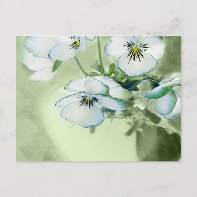 Cartão Postal Buquê dos Panteras Brancos sobre o Fundo Verde (Frente)