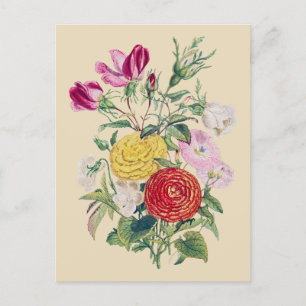 Cartão Postal Buquê - Rosa