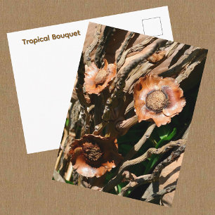 Cartão Postal Buquê Tropical Coco Seco Botânico