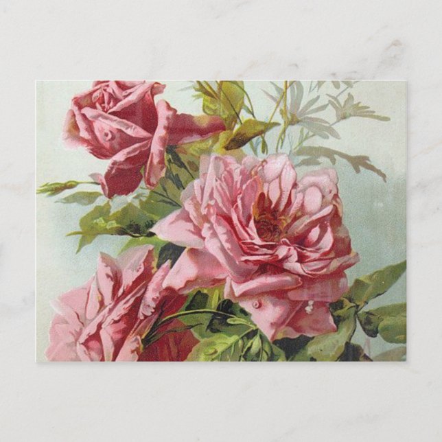 Cartão Postal Buquê Vintage Pink Roses (Frente)