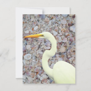 Cartão Postal Buraco branco