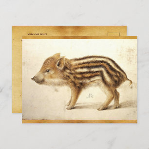 Cartão Postal BURAÇO WILD PIGLET - Pergaminho Antiquado de Desen