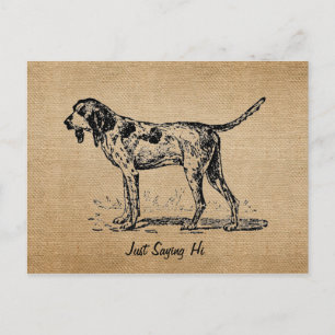 Cartão Postal Burlap Vintage, Cachorro De Pássaros.
