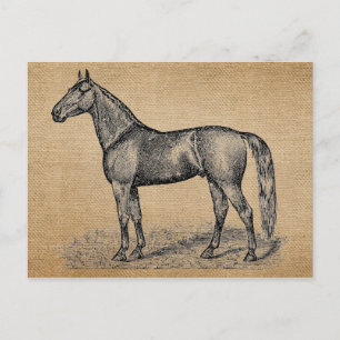 Cartão Postal Burlap Vintage Horse