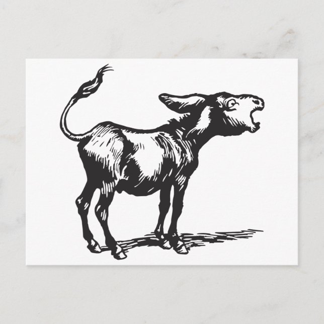 Cartão Postal burro a zurro (Frente)
