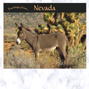 Cartão Postal Burro em Nevada